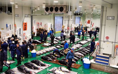 Toyosu Market .